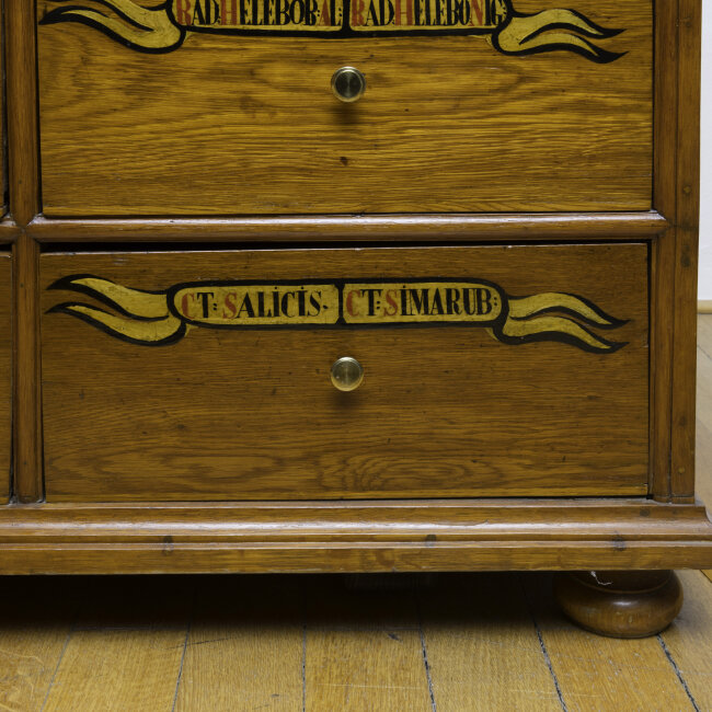 Exotická léčiva uprostřed Evropy